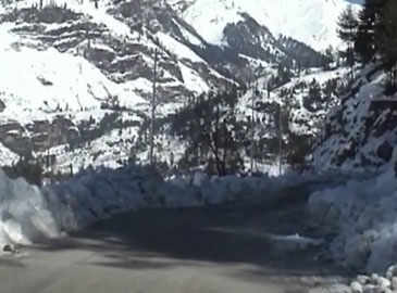 Manali: Snowfall cripples normal life