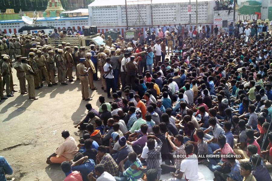 In Pics: Jallikattu protest turns violent