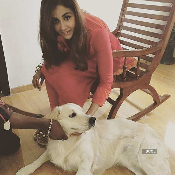 Actress Parul Yadav attacked by street dogs