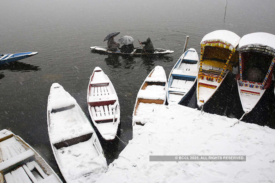 Kashmir Valley sees widest whiteout in 25 years