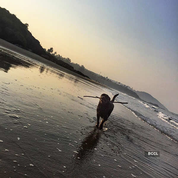 Arunoday Singh holidays with wife Lee Elton in Goa