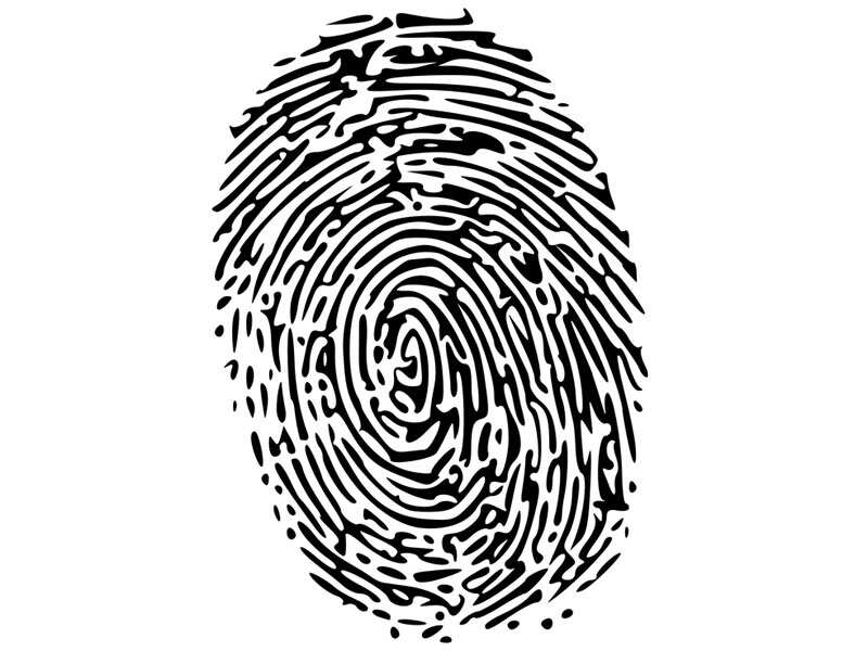 isekai wa smartphone totomoni review