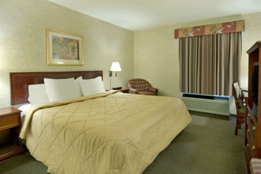 Comfort Inn Suites University Calgary Times Of India Travel