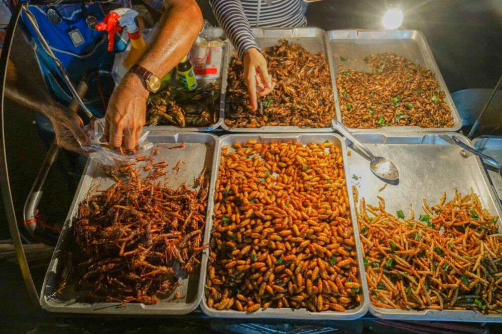 Byatarayanpur Food