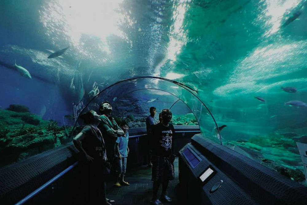 Underwater World, Pattaya - Times Of India Travel