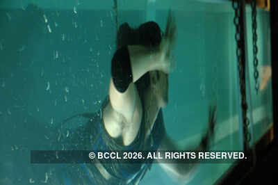 Ranbir overcomes water phobia