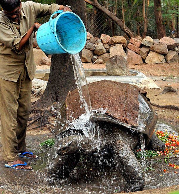 25 Best Pictures Of The Week