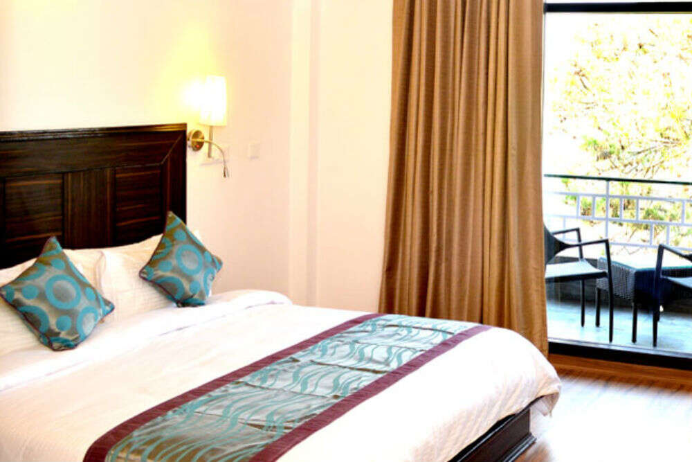 Kasauli Exotica Kasauli Exotica