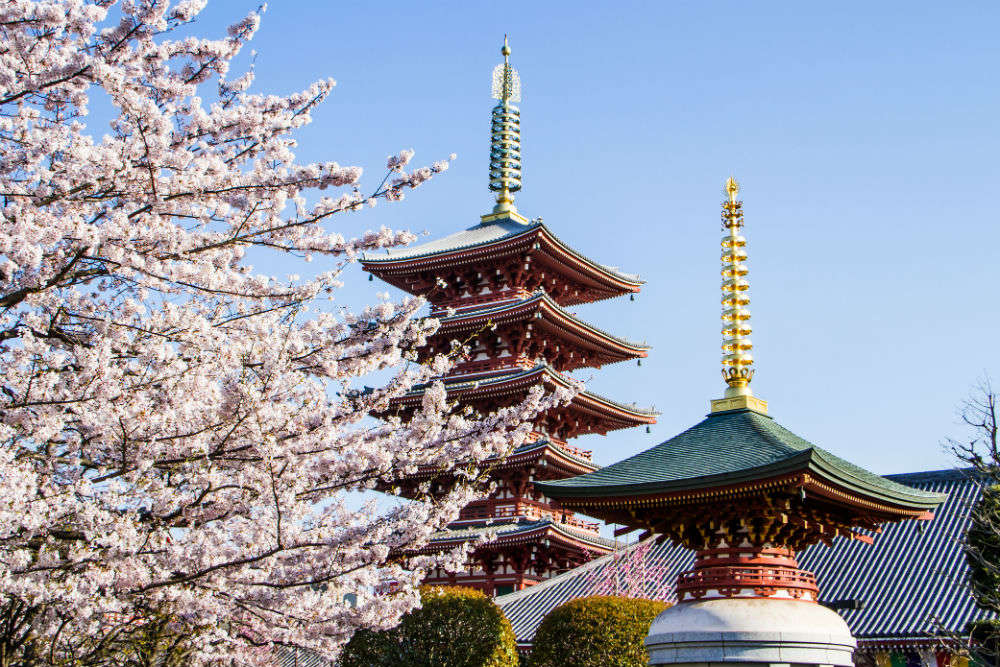 Tokyo Attractions That Are Simply Irresistible Tokyo Times Of India Travel 