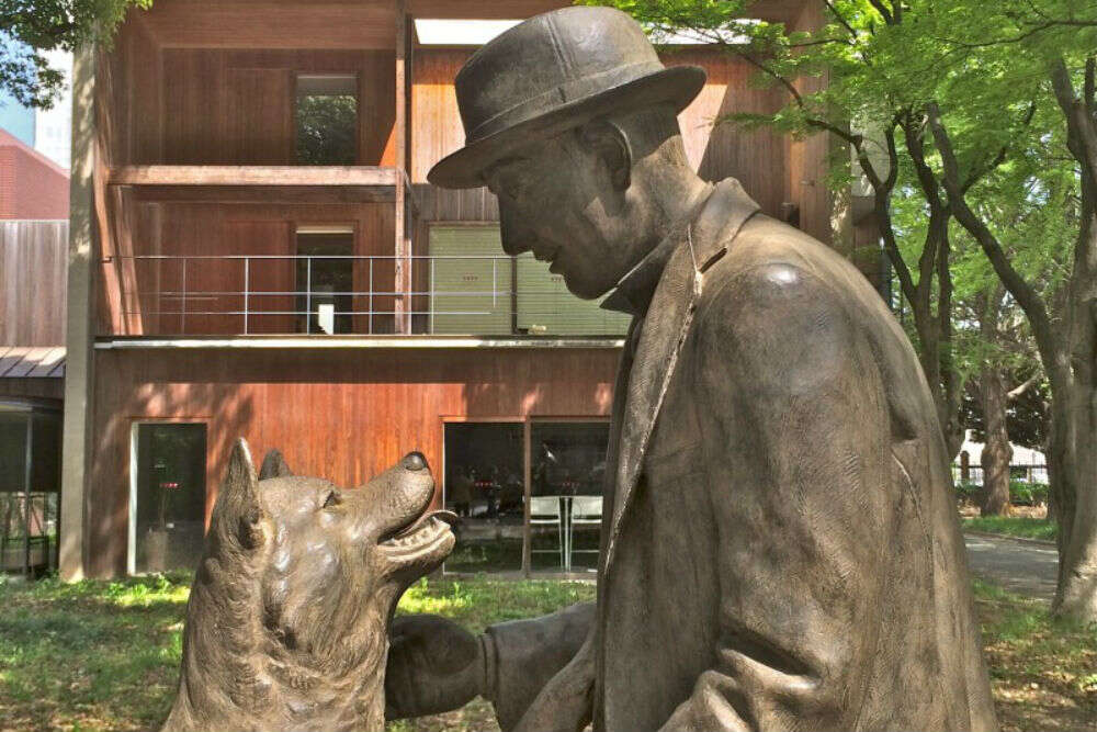 Hachiko