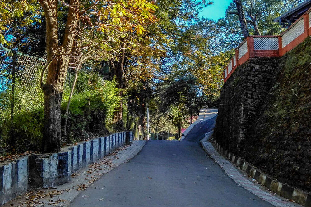 Lovers Lane trail