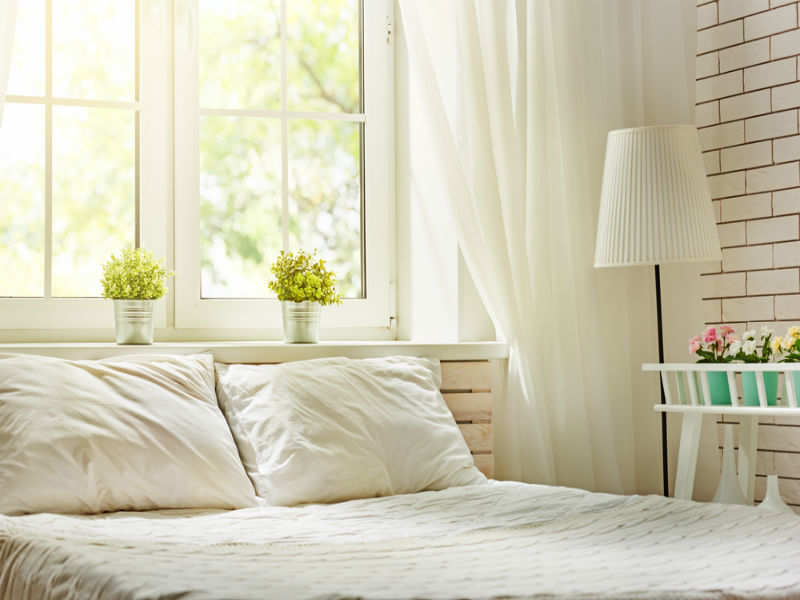 Plants You Can Keep In Your Bedroom To Sleep Better The