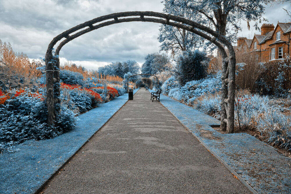 Botanic Garden