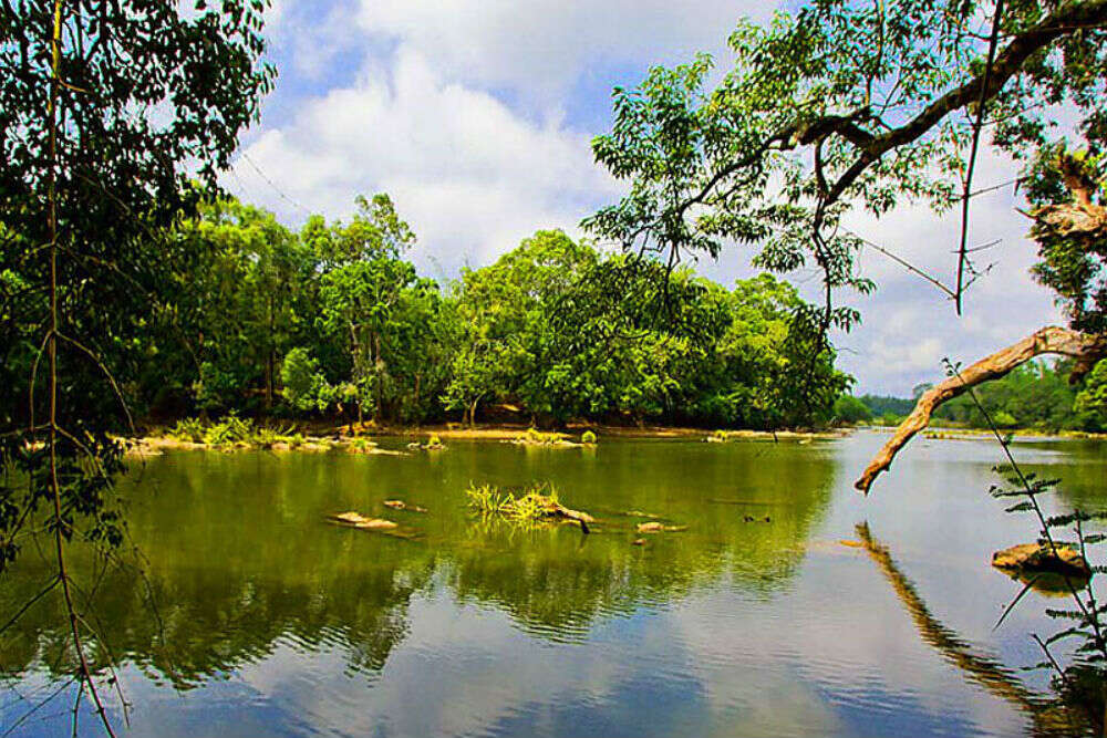 Coorg Fishing