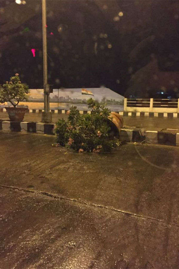 Hailstorm, heavy rain cripple Hyderabad