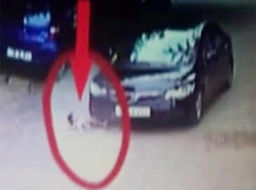 Watch: Toddler miraculously escapes death after being run over by car