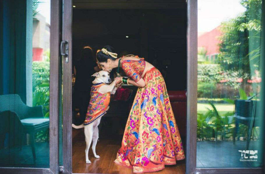 Mitali and Ali's bow wow wedding!