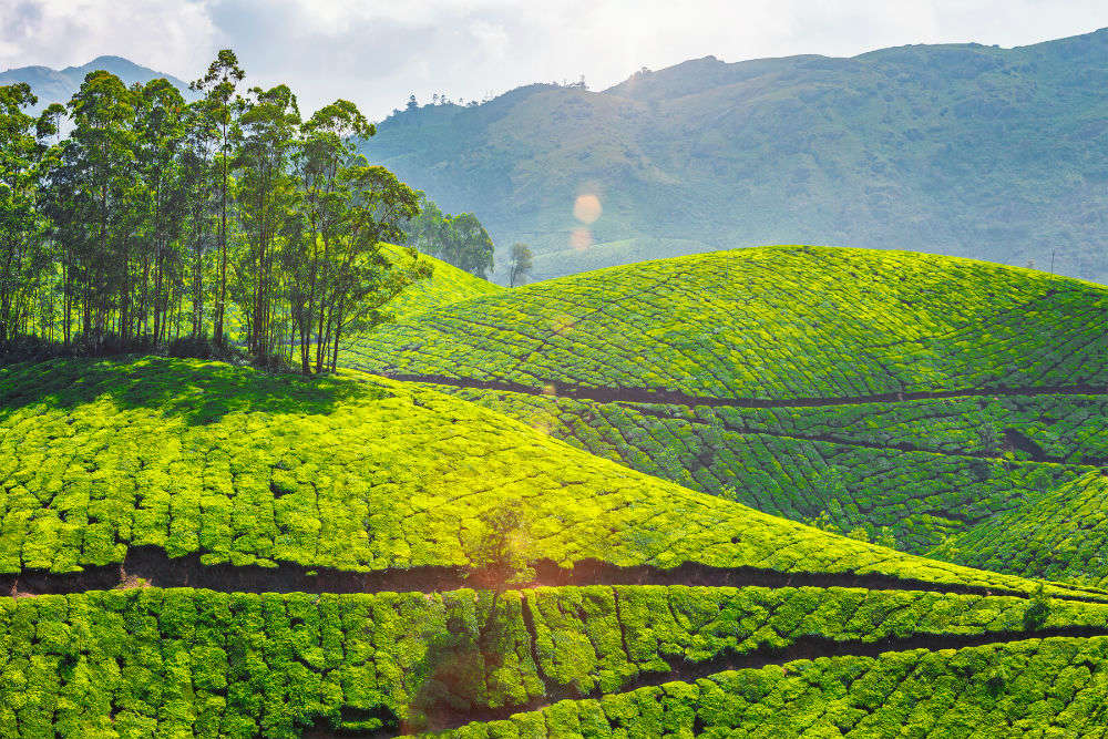 Coonoor, Coonoor - Times of India Travel