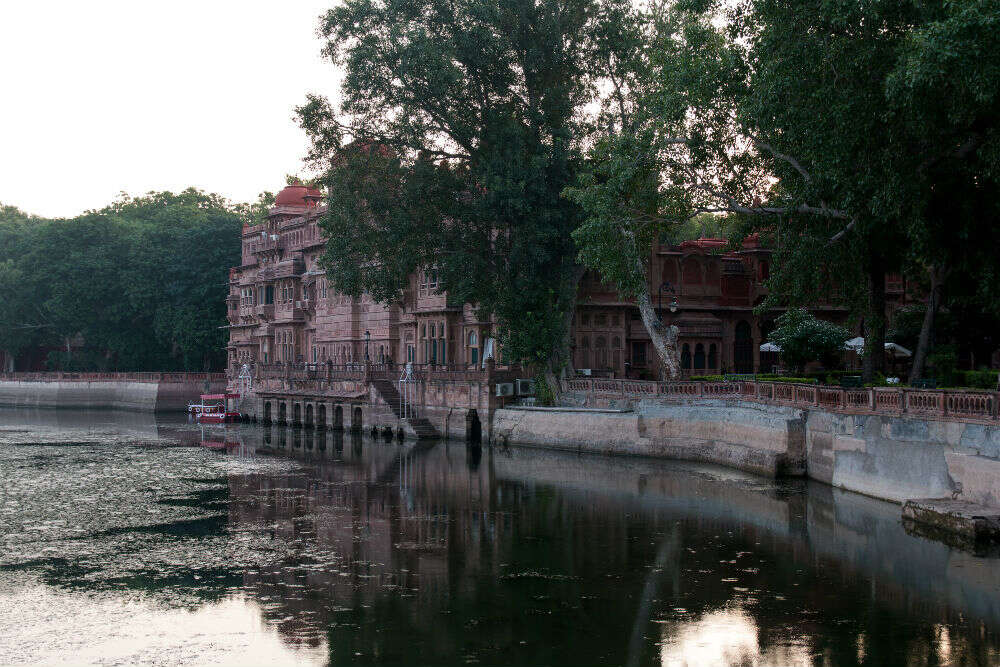 Gajner Palace Gajner_Wildlife_Sanctuary-MBP-20131009