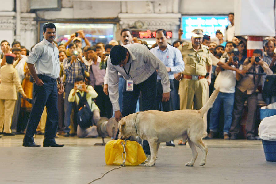 Horrific photos of 1993 Mumbai serial blasts