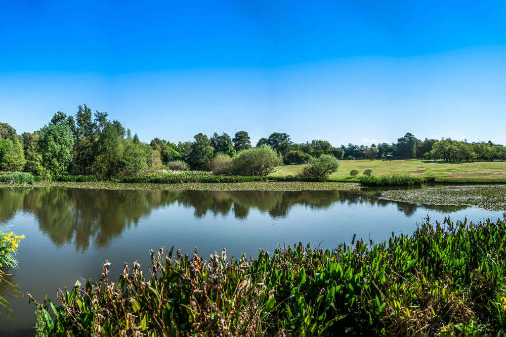 Greenside greenside