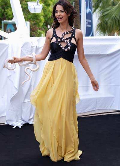 Mallika Sherawat attends the 'Hisss' photocall