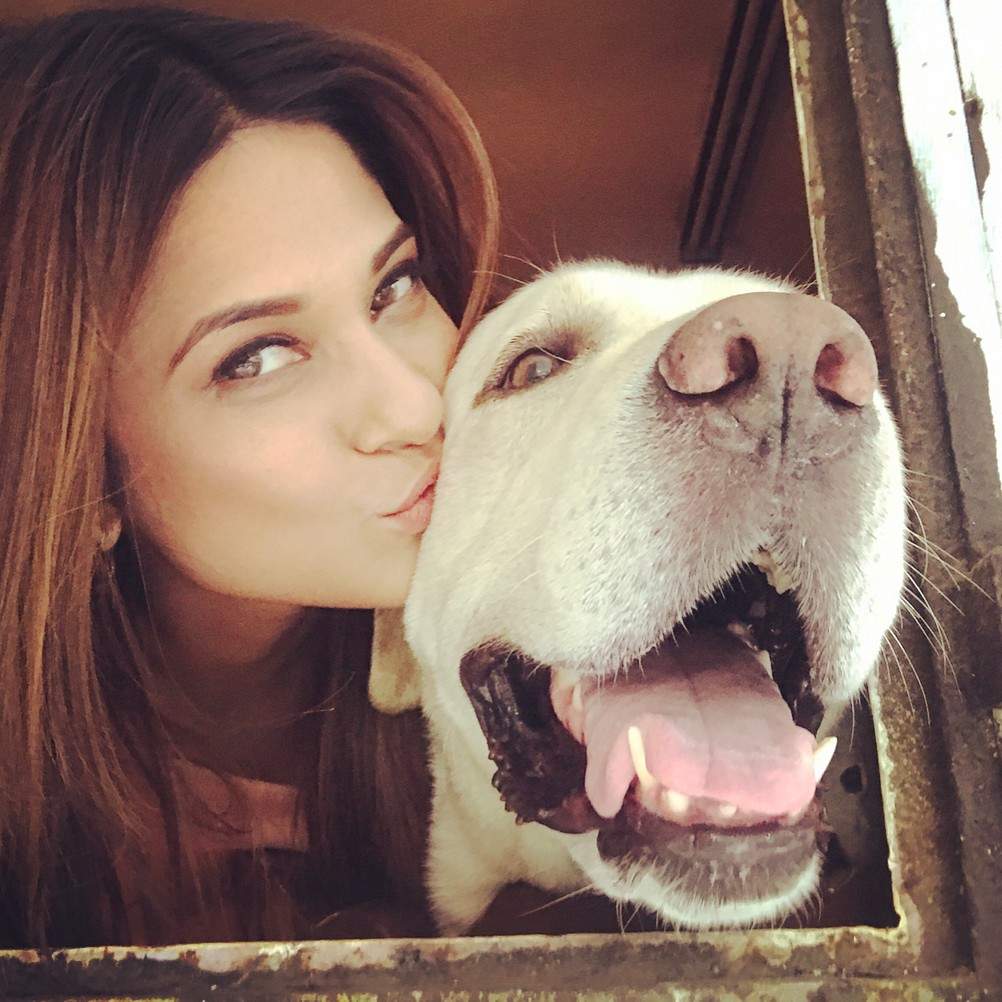 I think love is such a beautiful thing, everyone should experience it.: Jennifer Winget