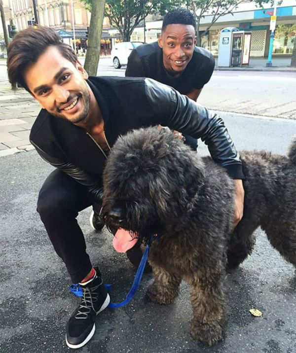 Rohit Khandelwal and his unconditional love for dogs