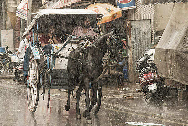 Heavy downpour disrupts normal life in several parts across India