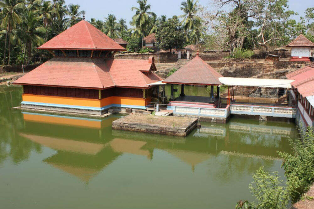 Meet Babiya—the vegetarian crocodile that guards a temple in Kerala ...