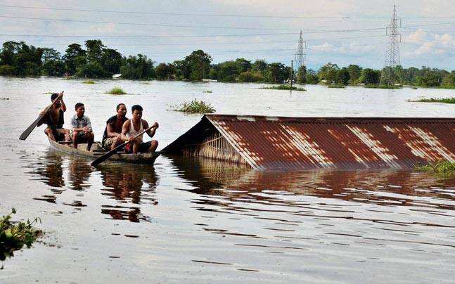 assam floods: Latest News, Videos and assam floods Photos | Times ...