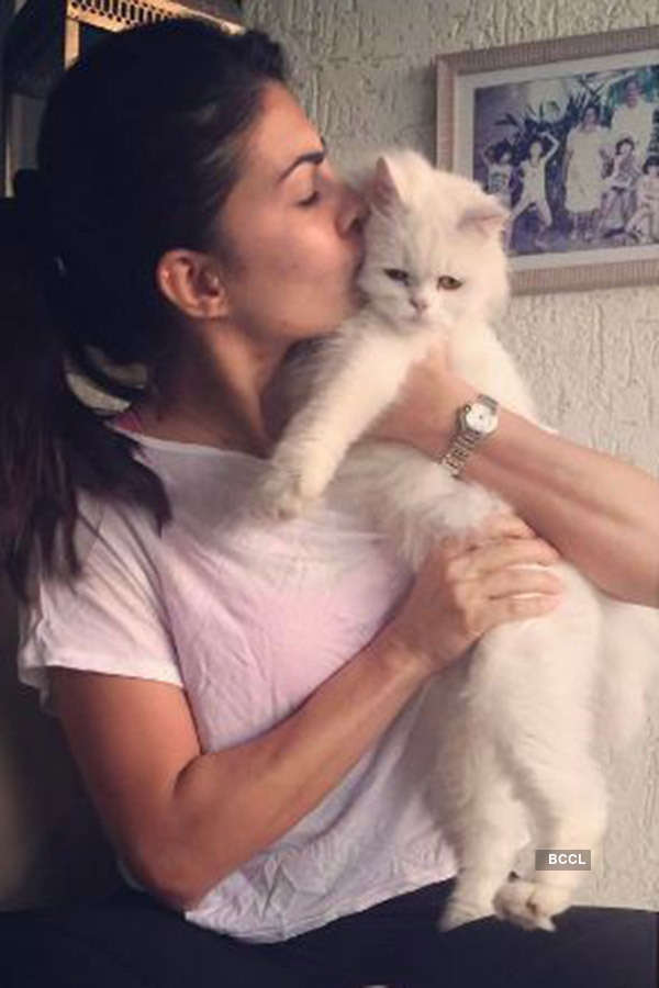 International Cat Day: Cat lovers of Bollywood