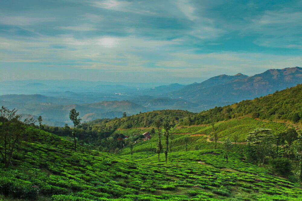 13 offbeat places to visit in Kerala we bet you are not aware of ...