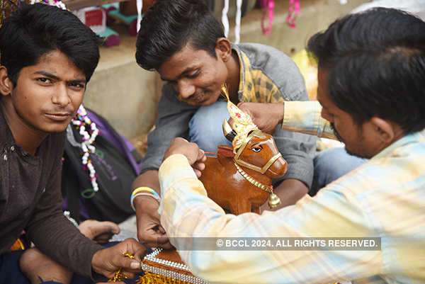 Pola festival celebrated with fervour