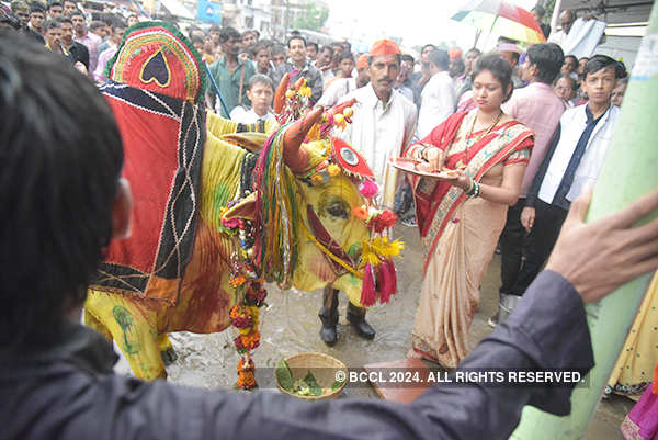 Pola festival celebrated with fervour