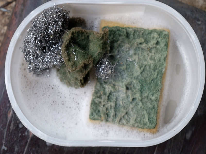 Why you must never clean a dirty sponge 