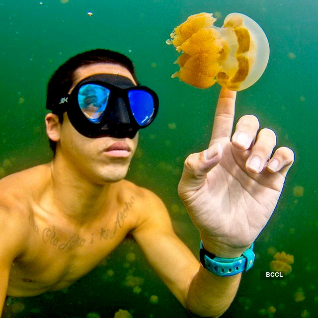 A swim with jellyfishes