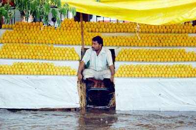 Best pictures of the day