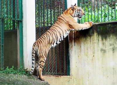 Best pictures of the day