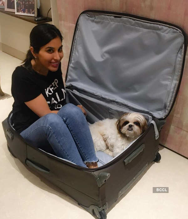 Pictures of celebrities & their pampered pets