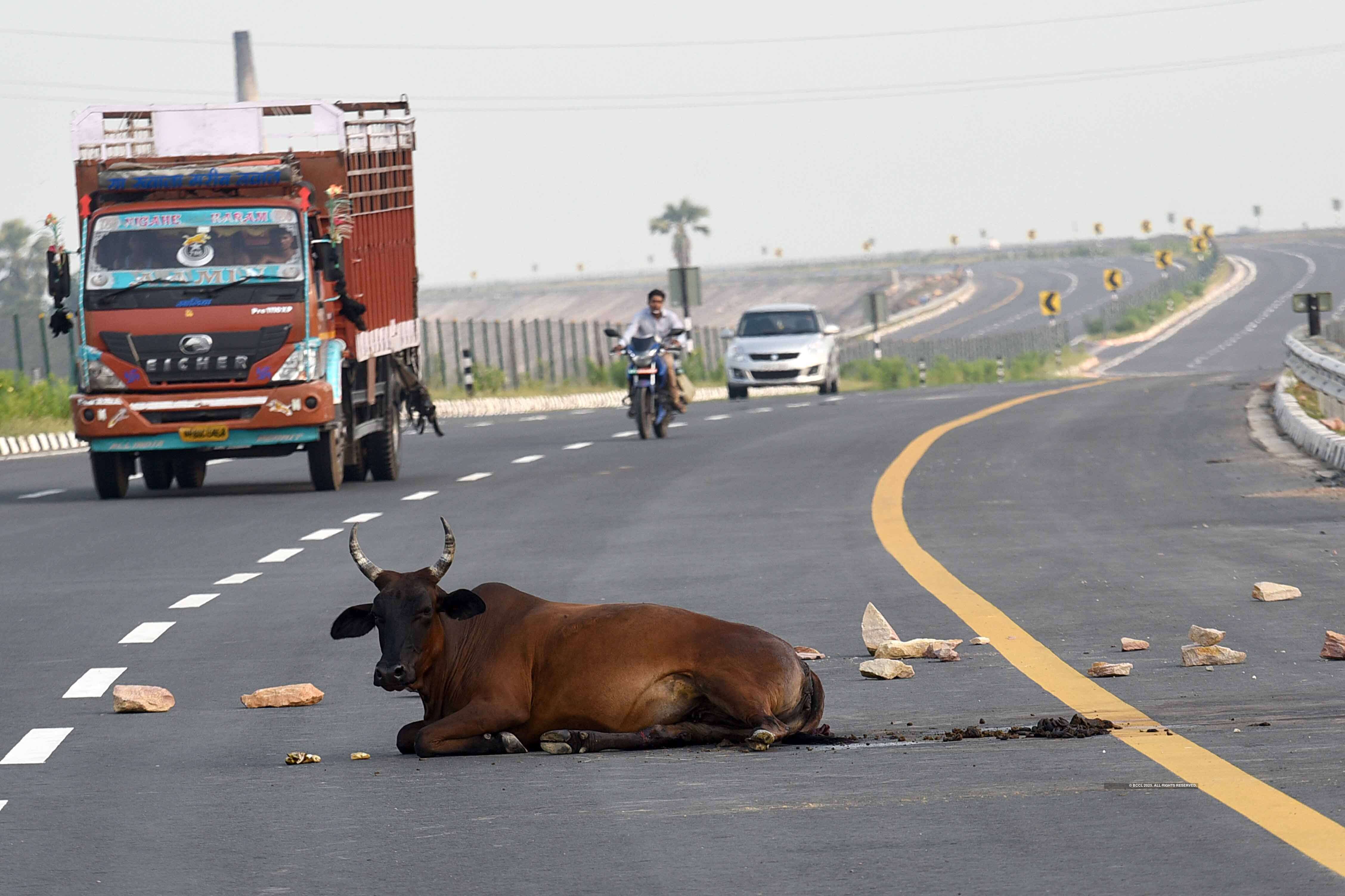 From Agra to Lucknow on the Expressway