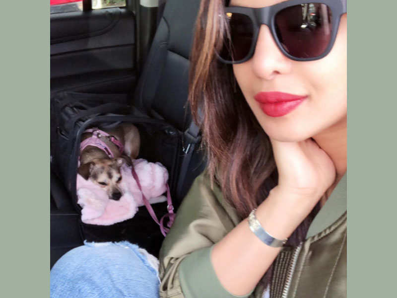 Pic: Priyanka Chopra heads to Los Angeles with her darling pet Diana