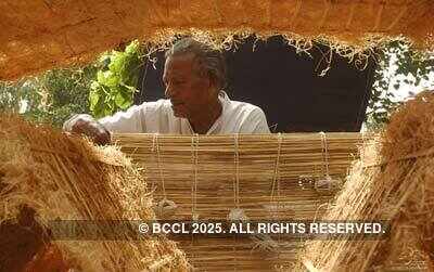 Best pictures of the day