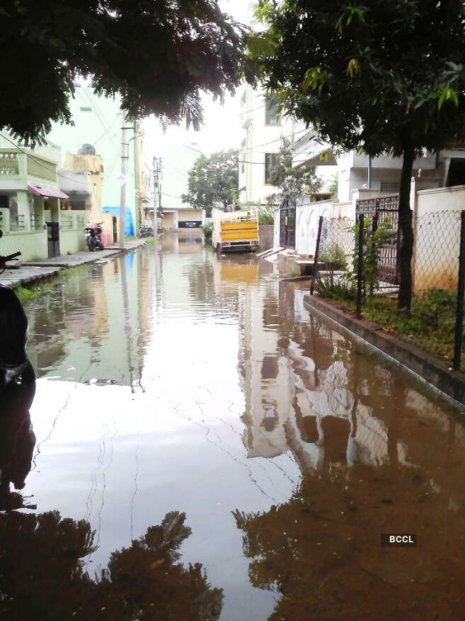 A view of waterlogging