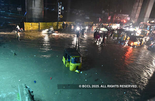 Motorists stop to proceed