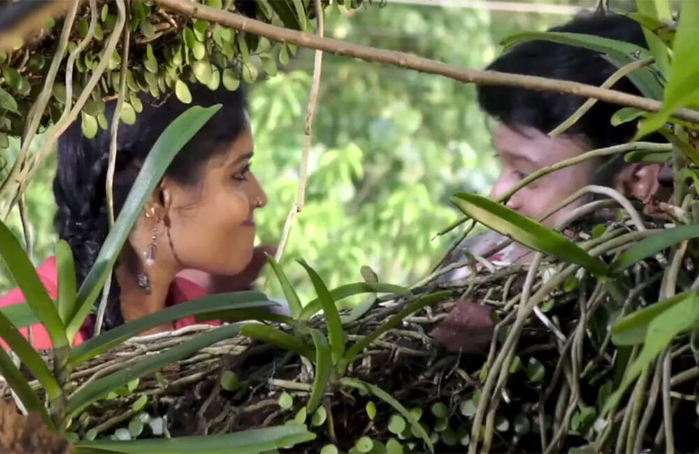 A still from The Crab