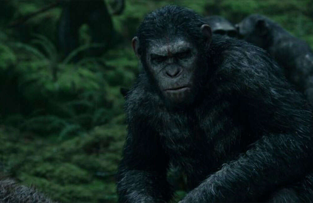 A still from Dawn Of The Planet Of The Apes