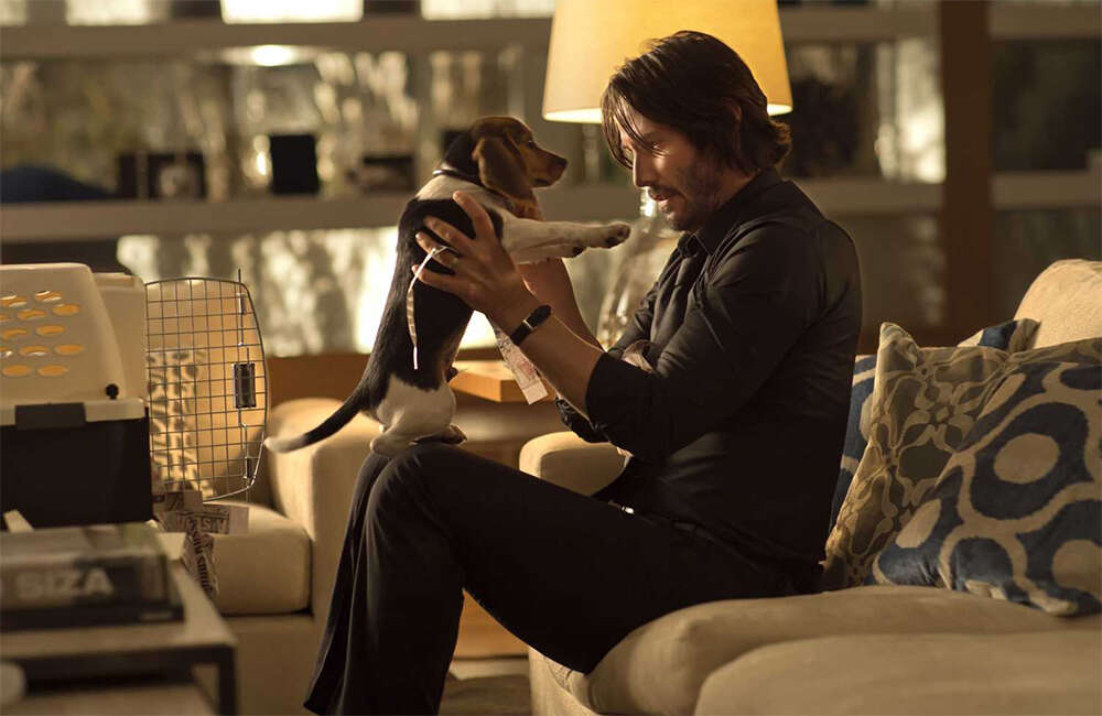A still from John Wick