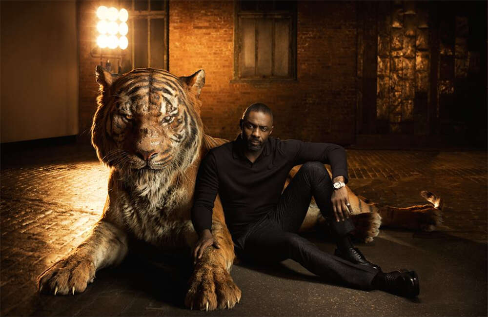 A still from The Jungle Book