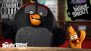 Dialogue Promo - The Angry Birds